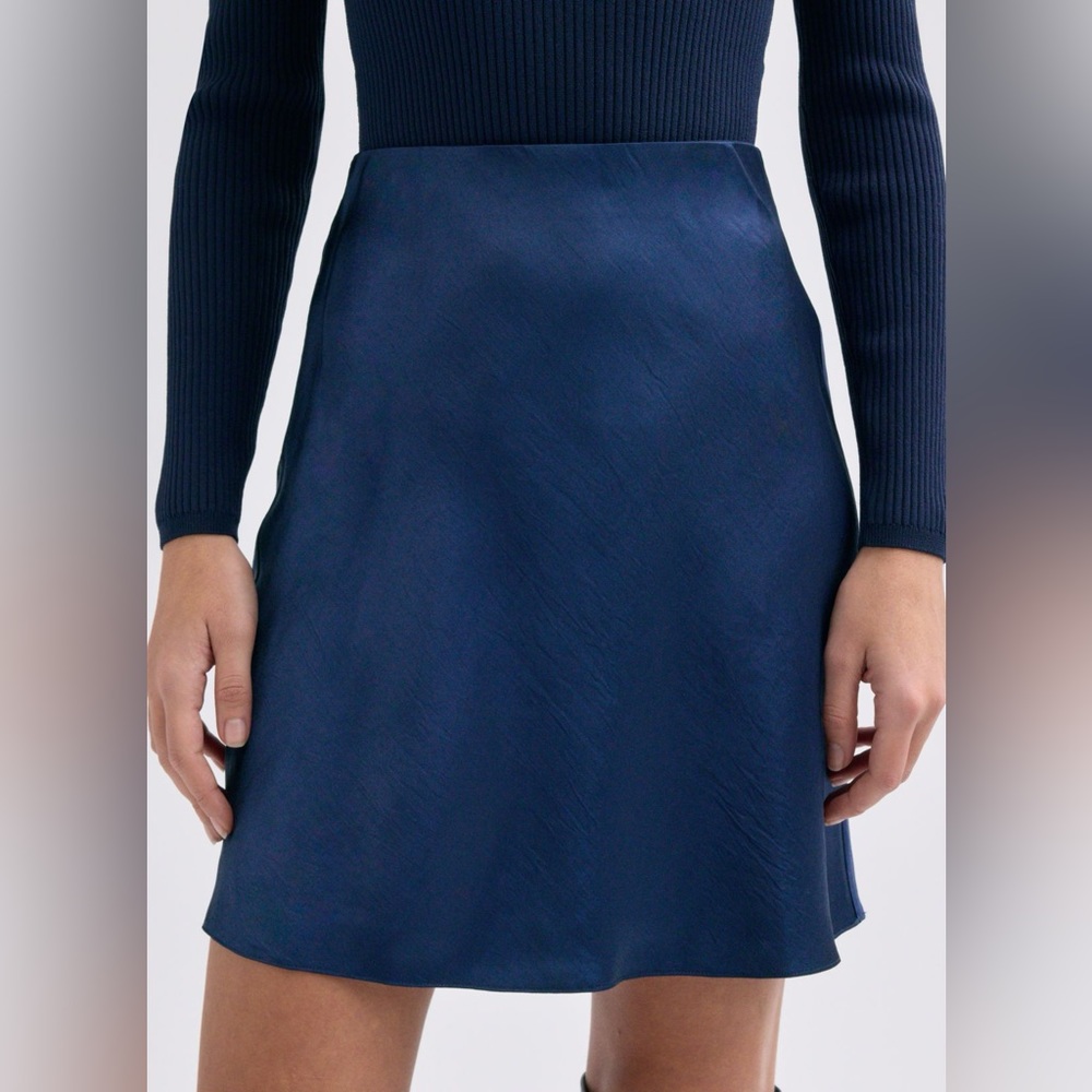 Aritzia Babaton Slip Mini Skirt